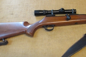 Mauser M96 .308 win