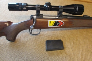 Tikka m55 308 Win