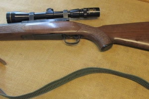Tikka M65 30-06